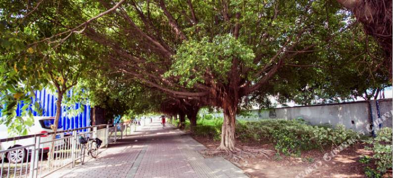 斯域酒店(深圳金凤凰购物广场凤凰商业中心店)图片