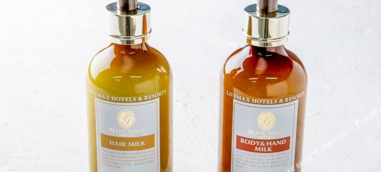 利夫马克斯经济型酒店-东京府中店(HOTEL LiVEMAX BUDGET Fuchu)图片