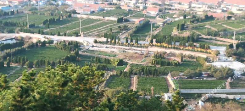 青岛聚朋源农家乐宾馆图片