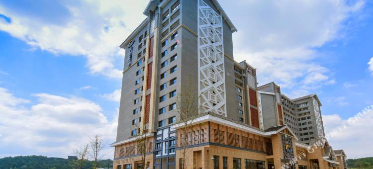 贵阳机场翼汇国际航空酒店(红飘带店)图片