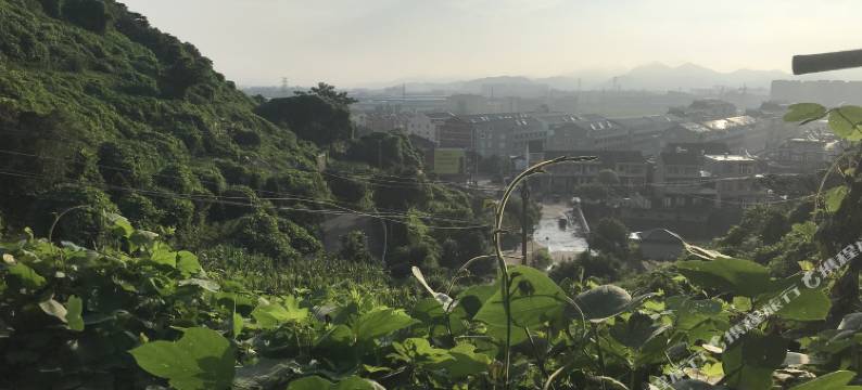 温岭林小诺民宿图片