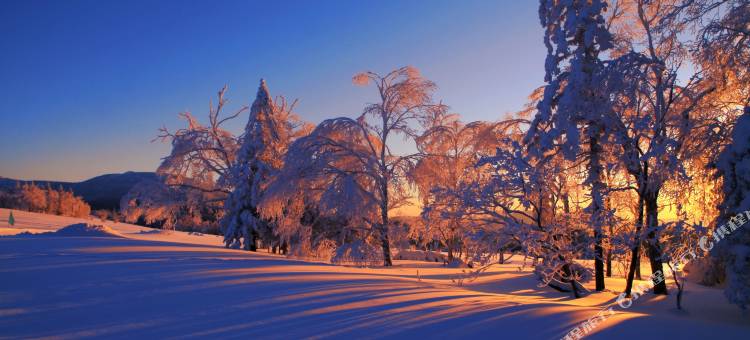 雪乡雪松家庭旅馆图片