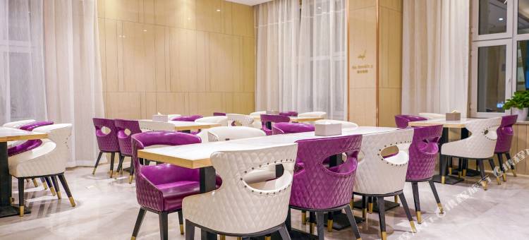 麗枫酒店(乌鲁木齐国际机场铁路局地铁站店)图片