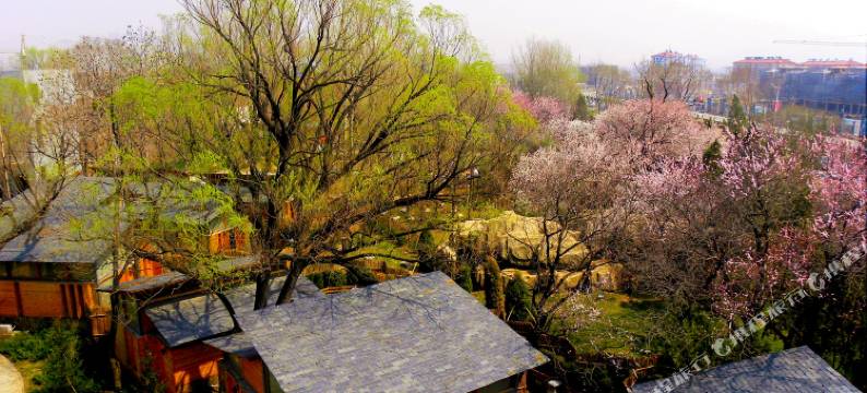 营口熊岳天沐温泉度假村图片