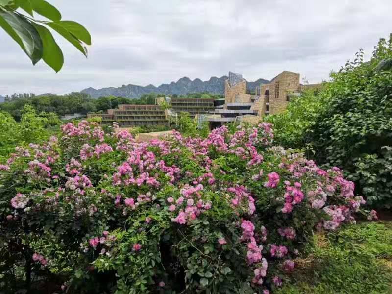 北京中信金陵酒店图片