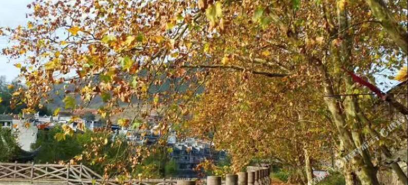 凤凰凤城江景客栈图片