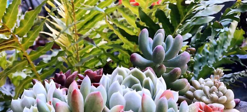大理市挖色花间小筑客栈图片