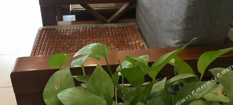 蔓莱酒店(西湖文化广场地铁站省人民医院店)图片