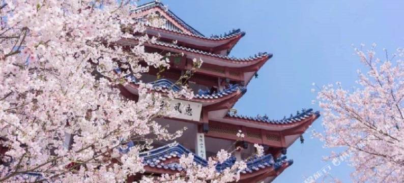 云和夜泊酒店(无锡灵山大佛拈花湾店)图片