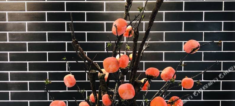 西安佳晨吾家美舍(临潼东三岔地铁站店)图片