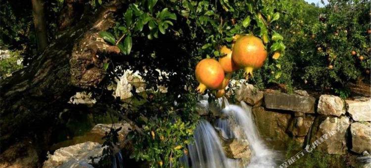 骏怡连锁酒店(枣庄坛山广场店)图片