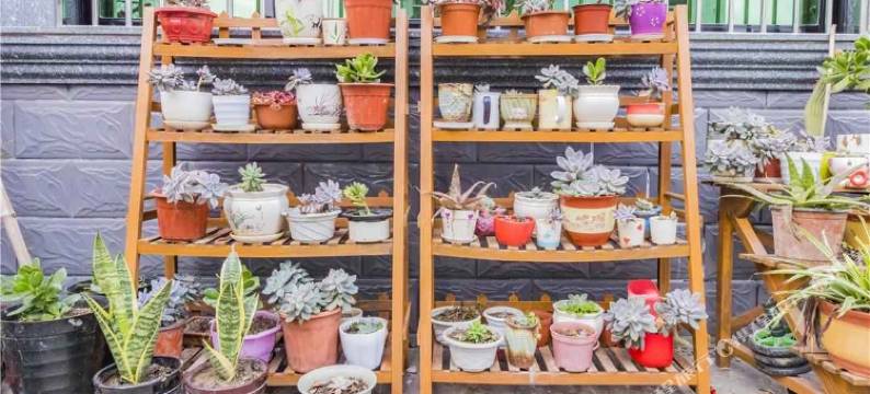 桐庐恩典之家民宿图片