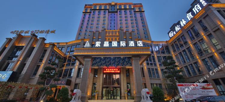 井研紫晶国际酒店图片