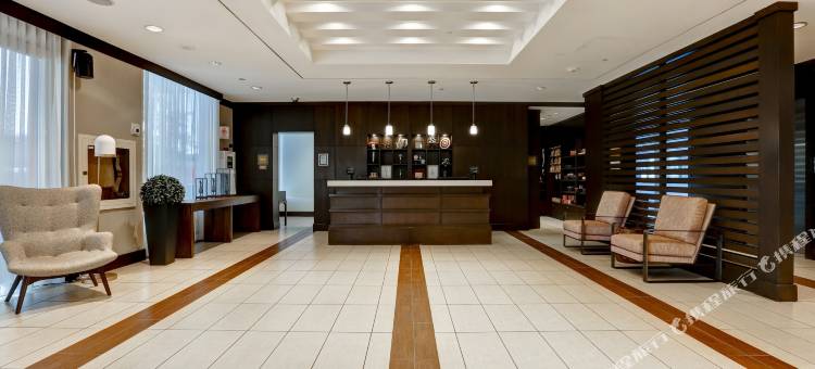 多伦多密西沙加福朋喜来登酒店(Four Points by Sheraton Toronto Mississauga)图片