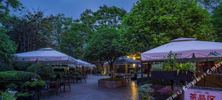 邛崃平沙落雁度假酒店(平乐古镇店)图片