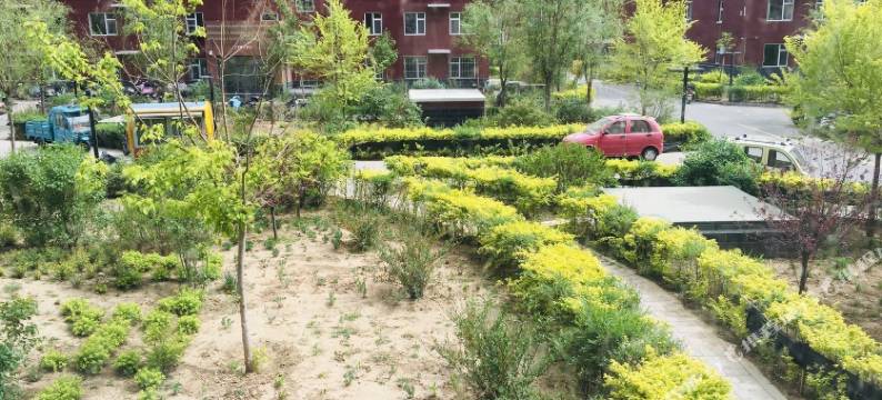 承德丰宁阳光民宿公寓(宁丰路分店)图片