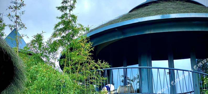 安吉仲夏Dream野奢民宿图片