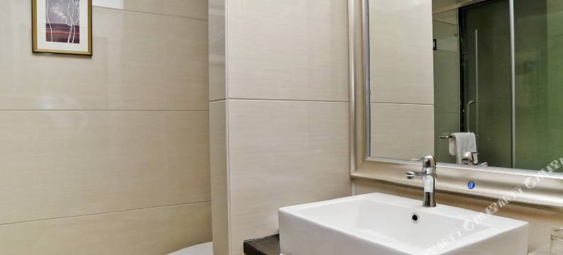 深圳坪山柏臣精品酒店图片