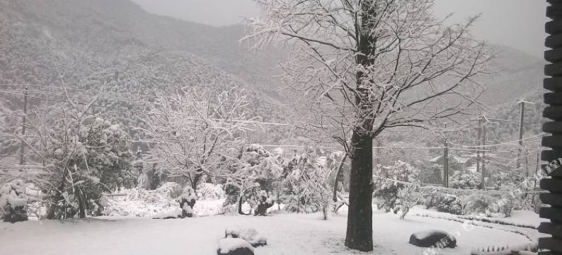 莫干山清林·闲庭山庄图片