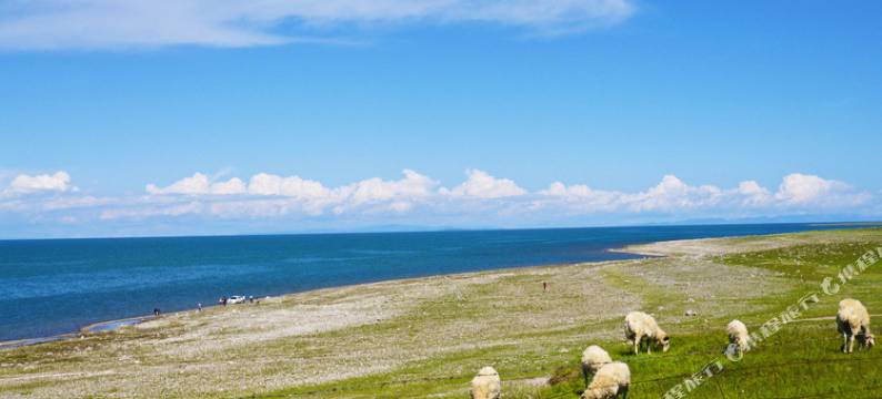 青海湖天边牧人帐篷宾馆图片