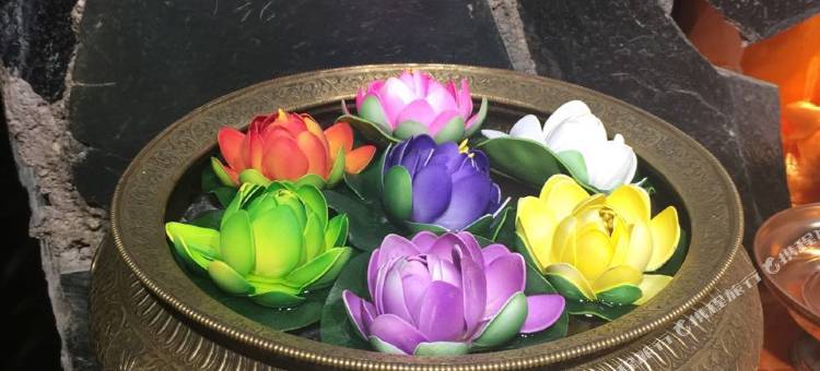 拉萨布鲁别苑图片