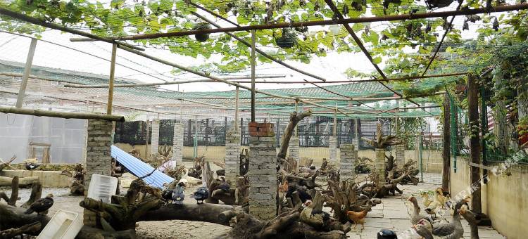 贵阳饱满膳山庄图片