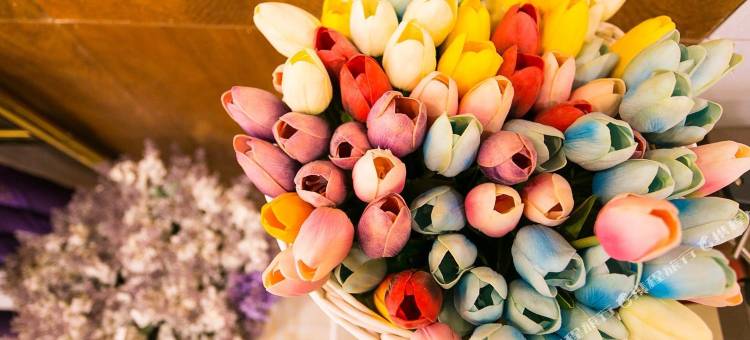 Meet·漫美酒店(苏州观前街平江路店)图片