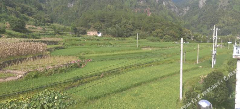 仙居竹香雅舍图片