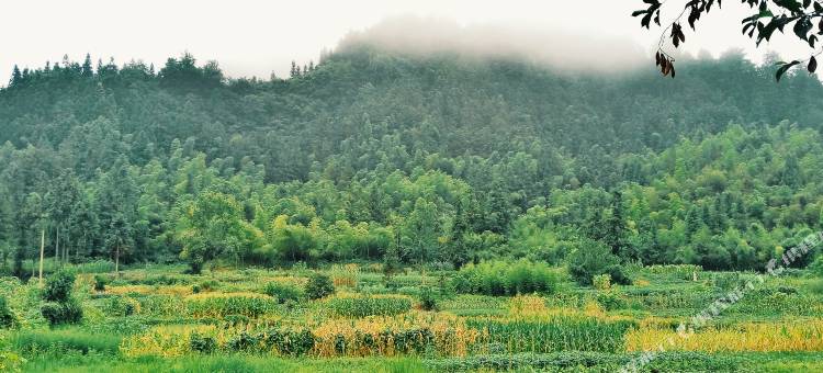 黄山西递良筑咖啡客栈图片