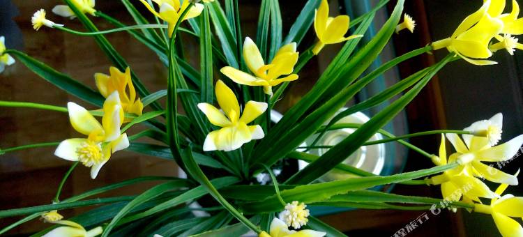 中卫风沙渡青年旅舍图片