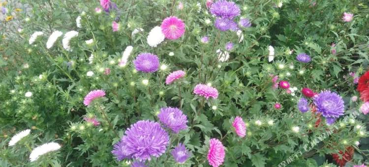 肃南丹坤快捷宾馆图片