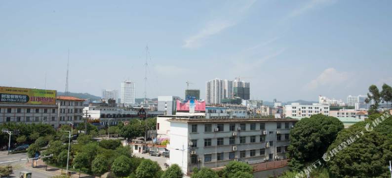 百色雅莱丽酒店图片