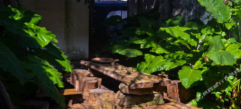 涠洲岛辣汉头小院图片