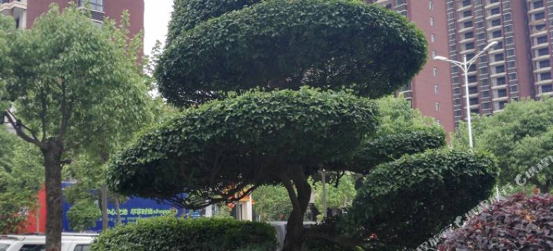 汇利达宾馆(信阳火车站店)图片