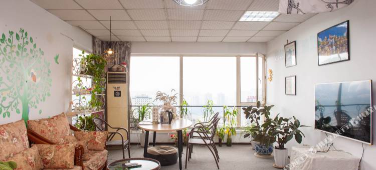 重庆飞鸟集青年旅舍(皇冠大扶梯店)图片