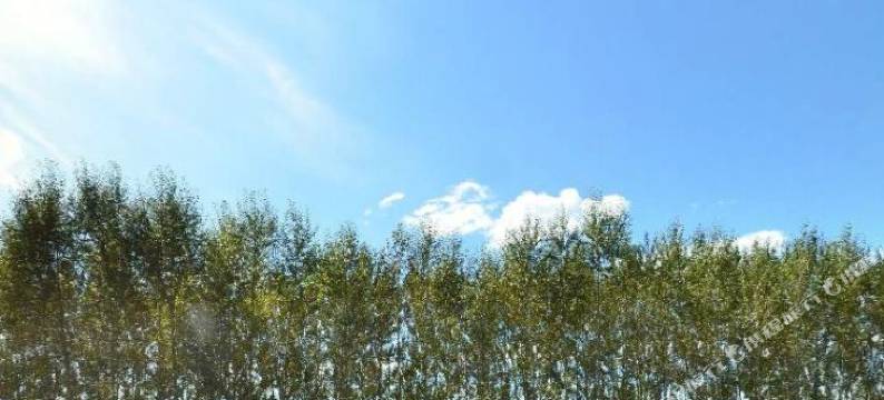 绥化兰西梦天湖酒店图片