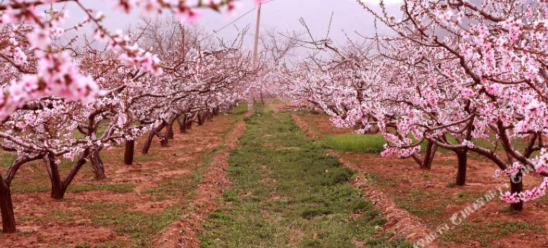 桃源仙谷度假山庄图片