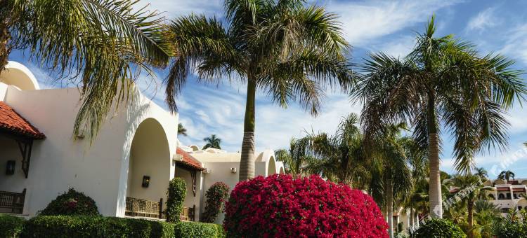 沙姆沙伊赫瑞享酒店(Mövenpick Sharm El Sheikh)图片