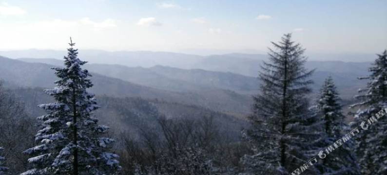 长白山松柏大妈旅饭店图片