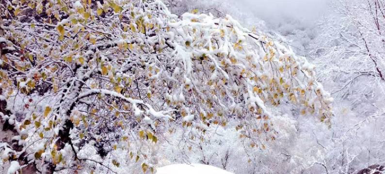 松坪沟华剑宇农家图片