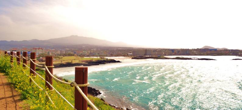 济州岛海鸥鸟巢民宿(Nest of the Gull House Jeju)图片
