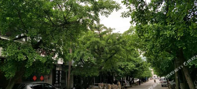 苏州银杏客栈图片