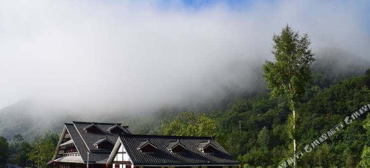 康县花桥菩提庄园图片