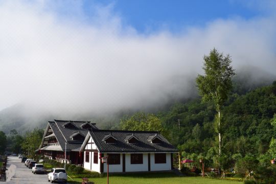 2019若想要游览康县,康县花桥菩提庄园将会是一个不错的的住宿之选