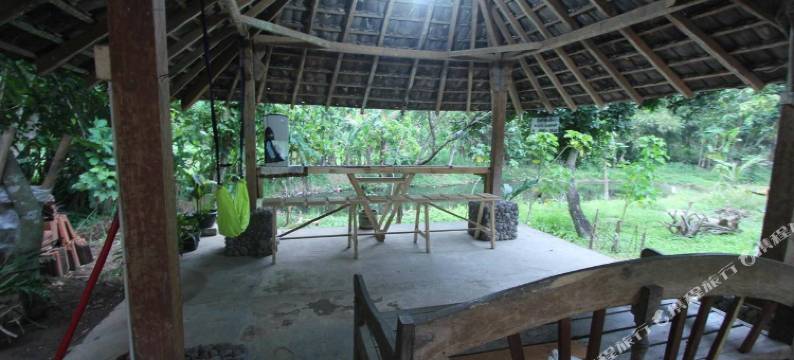 草根家庭旅馆(Grass Root Homestay)图片