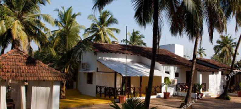 阿玛亚哈维酒店(Amarya Haveli)图片