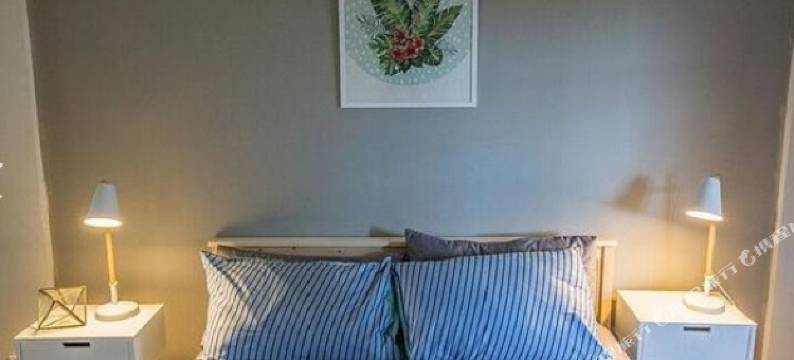 时光故事—近悉尼市中心宽敞两房公寓(Time Story- Alexandria)图片