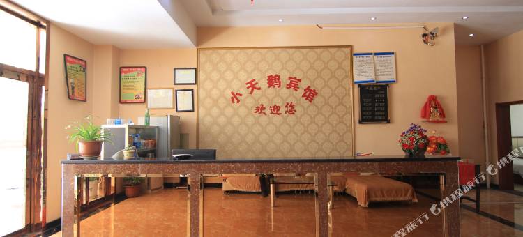 夏县小天鹅宾馆图片