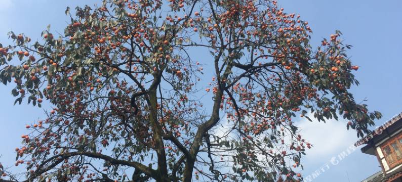 街子古镇古月人家客栈图片