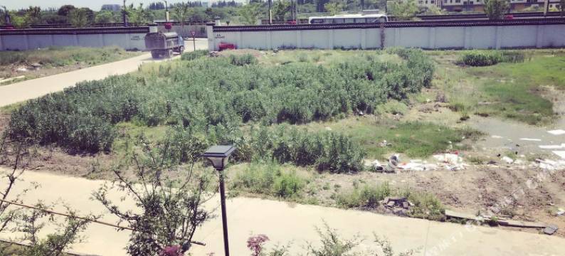 乌镇鑫愉小驻住宿图片